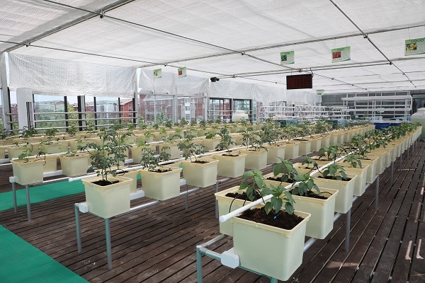 0902下午04.jpg 0902下午04.jpg